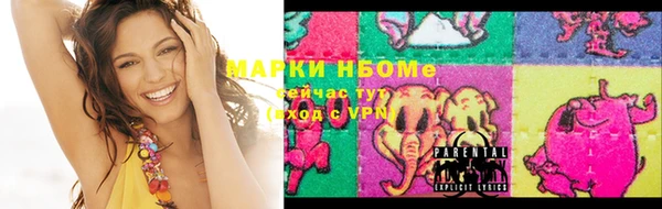 индика Володарск