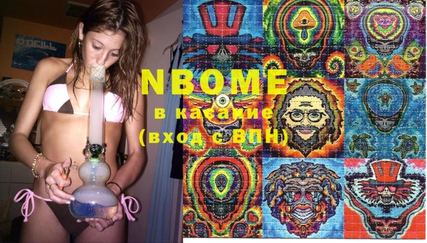 индика Володарск