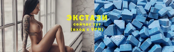 индика Володарск