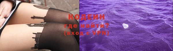 индика Володарск