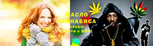 индика Володарск