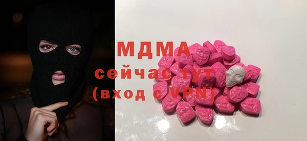 индика Володарск