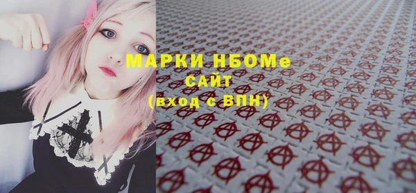 индика Володарск