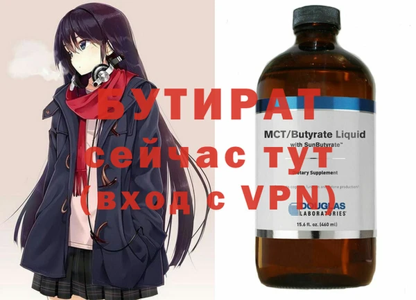 индика Володарск