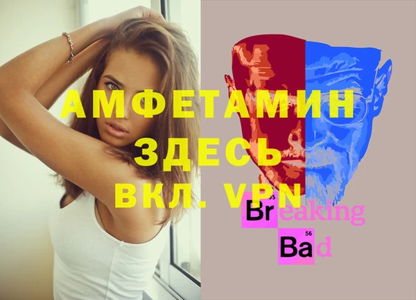 индика Володарск